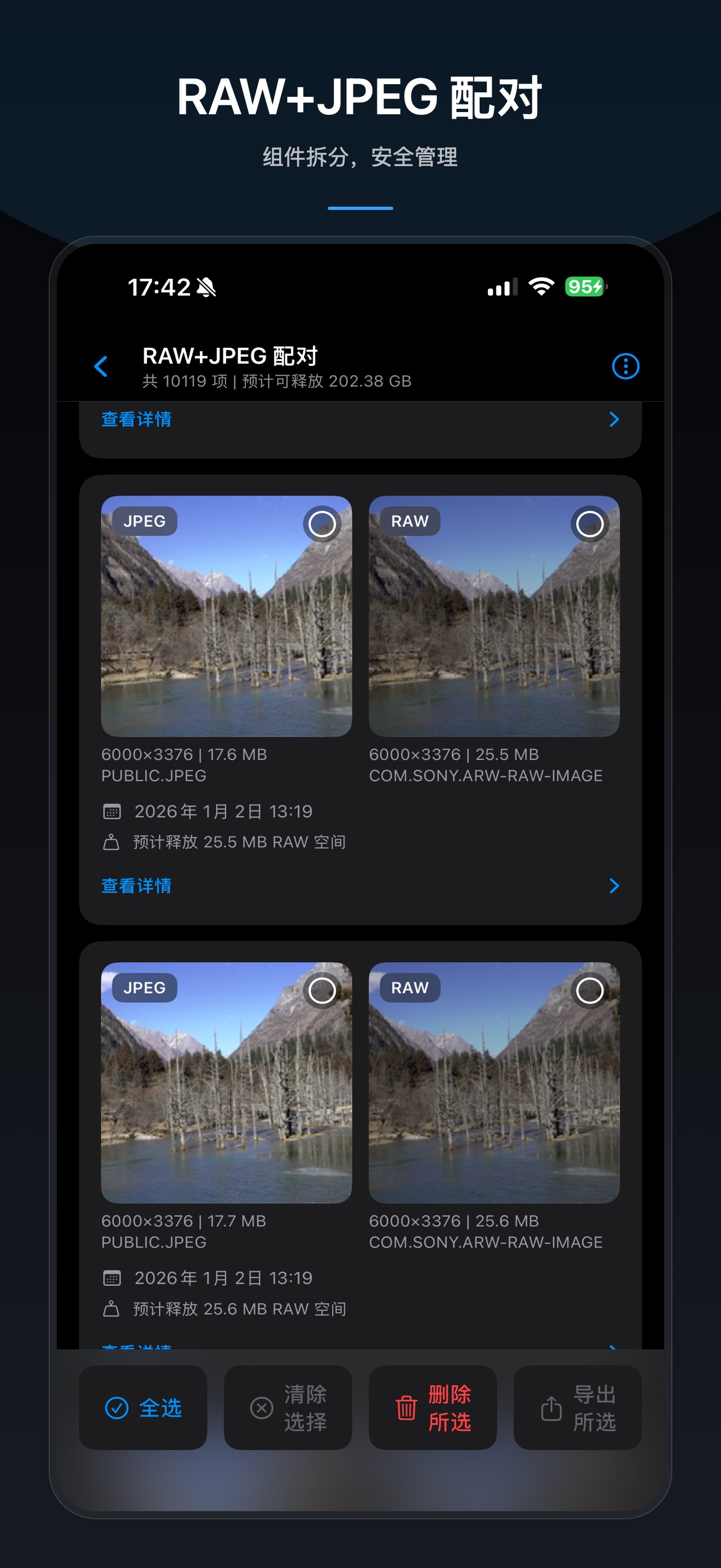Photos Slim RAW 与 JPEG 配对管理页截图，展示配对素材与对应体积信息