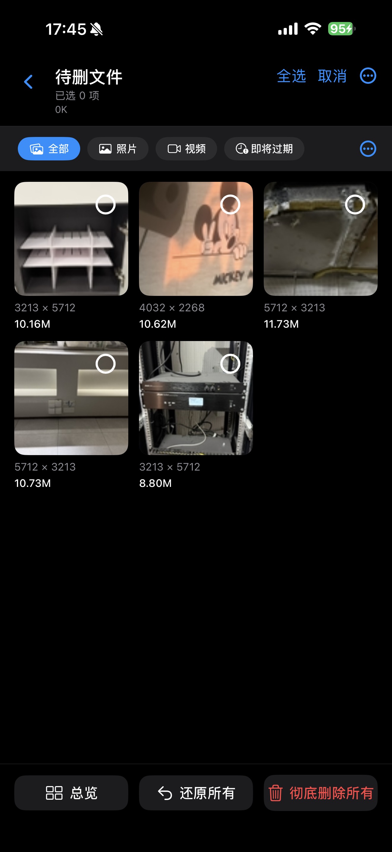 Photos Slim 删除前复核页截图，展示待处理候选与逐项确认界面